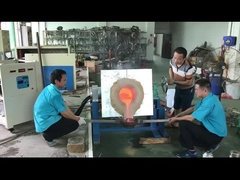 金プラチナ パラジウムのための産業誘導の溶ける機械